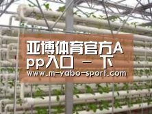 环境展示六