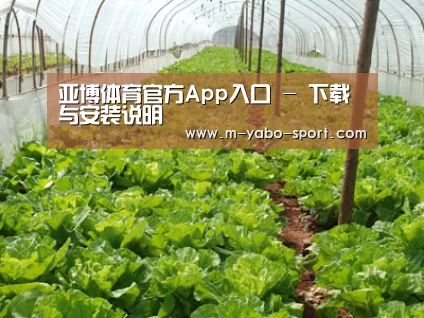 种植基地五