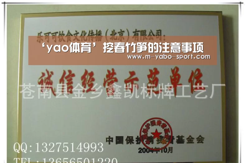 ‘yao体育’挖春竹笋的注意事项(图3) yao体育