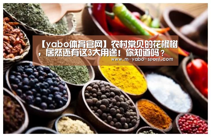 【yabo体育官网】农村常见的花椒树,居然还有这3大用途!你知道吗?(图3) 亚博体育