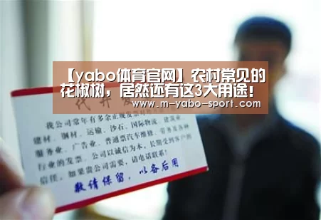 【yabo体育官网】农村常见的花椒树,居然还有这3大用途!你知道吗?(图2) yabo体育app